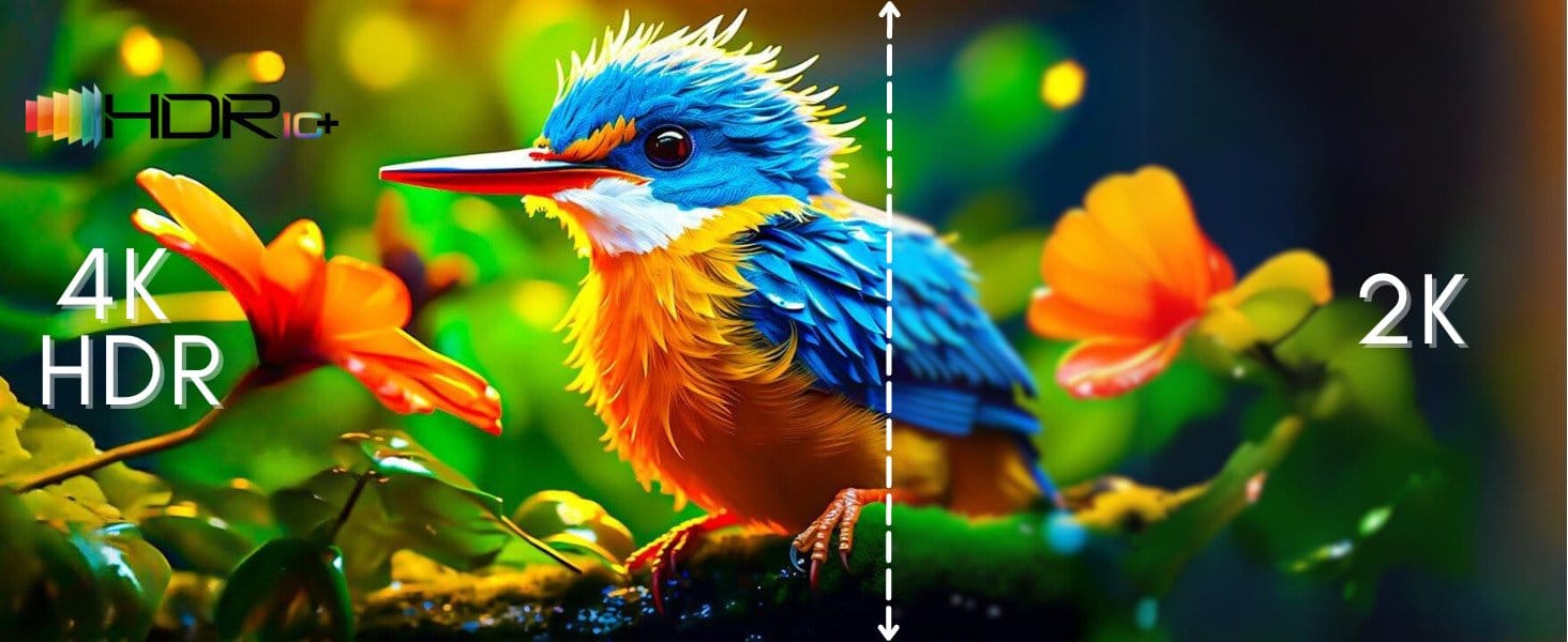 f5a8dc49-9997-49ca-8514-18ef5eed4c2f.__CR0,0,1464,600_PT0_SX1464_V1___ (1)